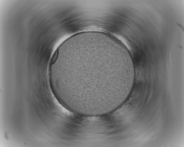 X0000097791387200803211811