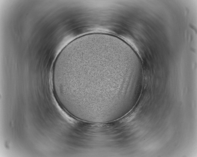 X0000097791391200803211811