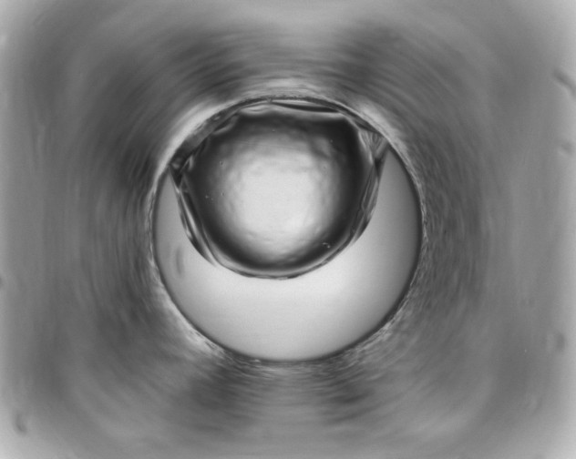 X0000097791392200803211811