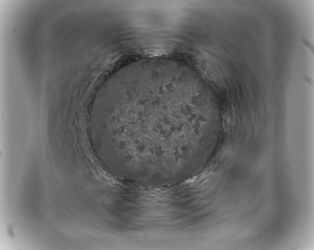 X0000097791393200803211810