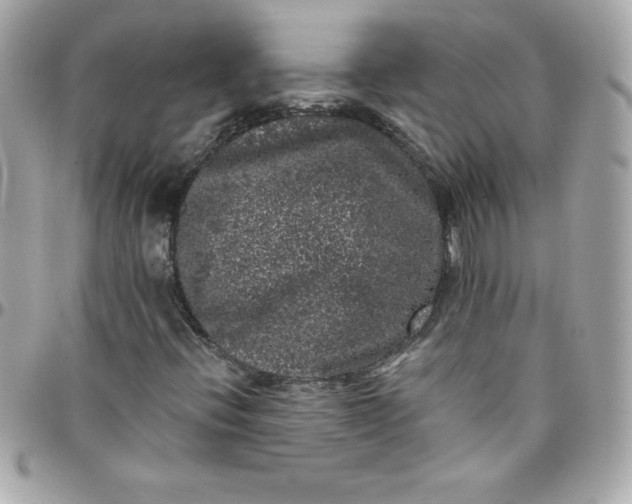 X0000097791396200803211810