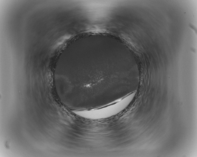 X0000097791398200803211810