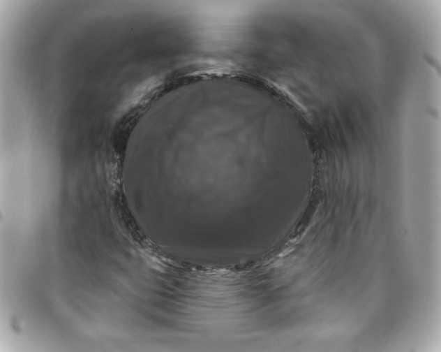 X0000097791399200803211810