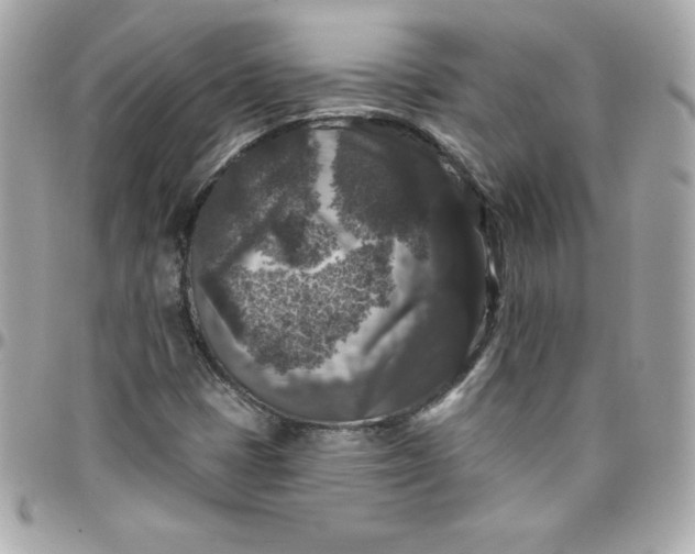 X0000097791401200803211810