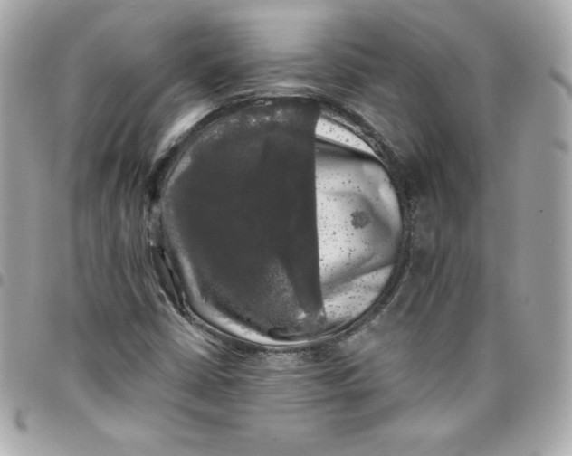 X0000097791402200803211810
