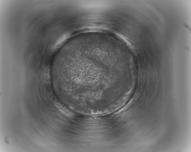 X0000097791403200803211810