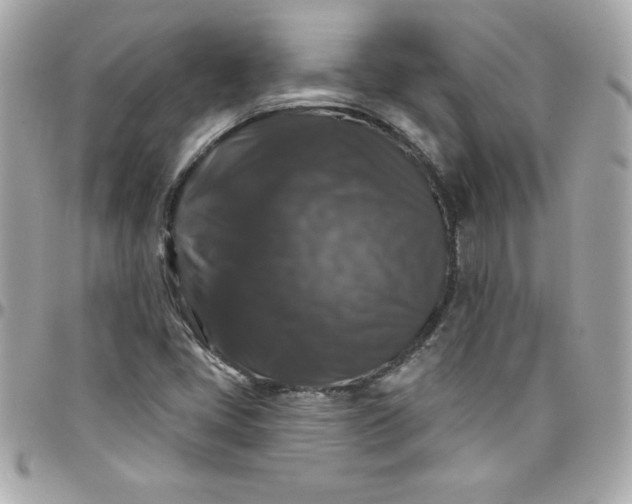 X0000097791405200803211810