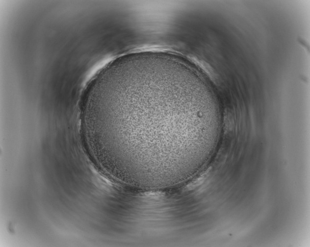X0000097791406200803211810