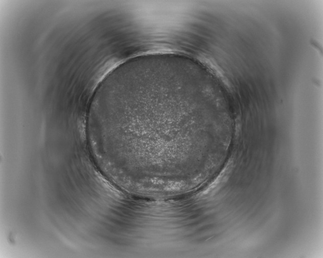 X0000097791409200803211810
