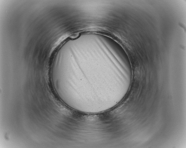 X0000097791410200803211810