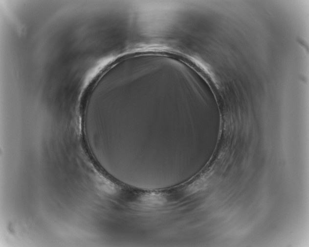 X0000097791414200803211811