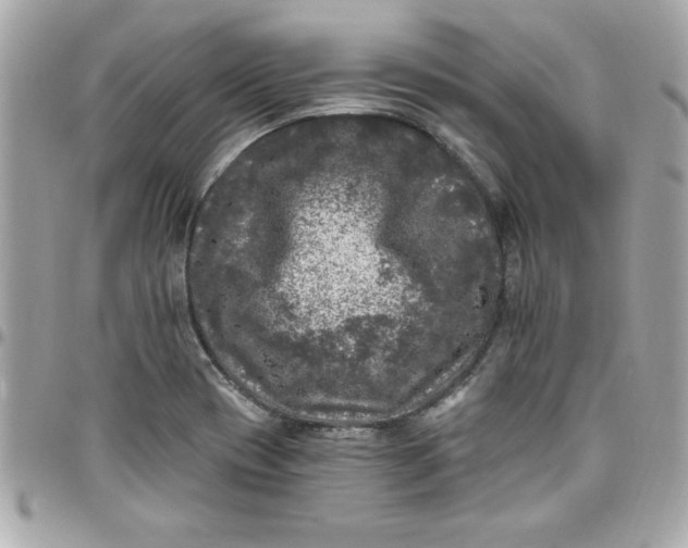X0000097791417200803211811