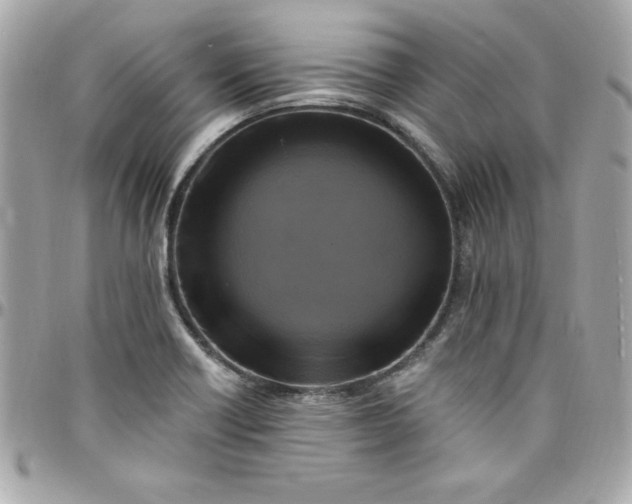 X0000097791418200803211811