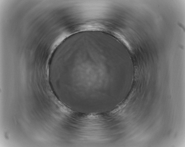 X0000097791419200803211811