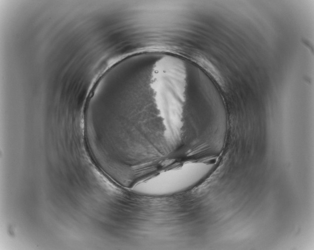 X0000097791428200803211811