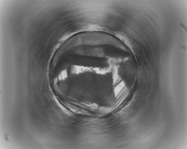 X0000097791429200803211811