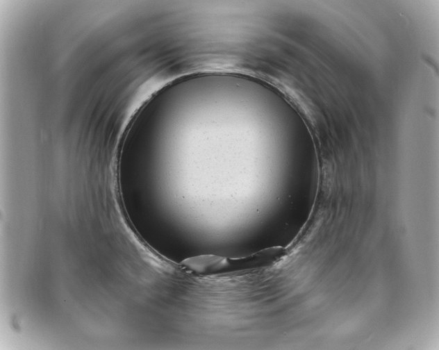 X0000097791432200803211811