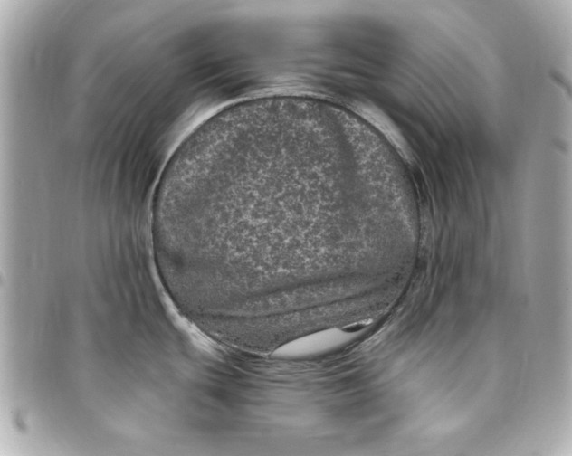 X0000097791439200803211811