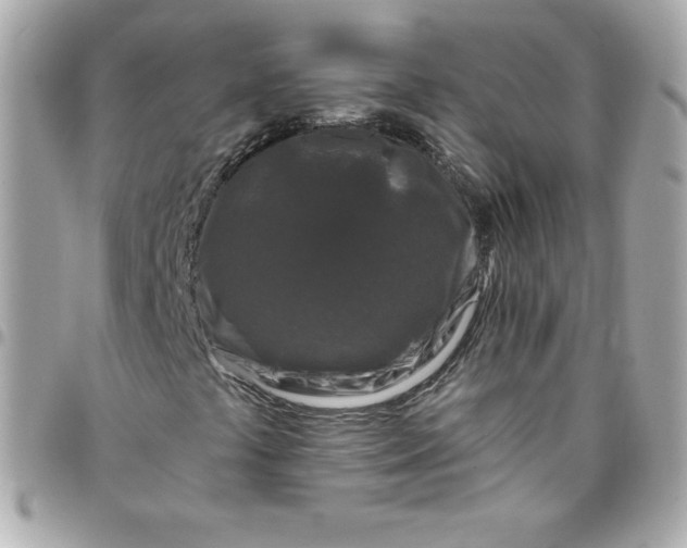 X0000097791441200803211810
