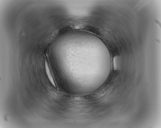 X0000097791443200803211810