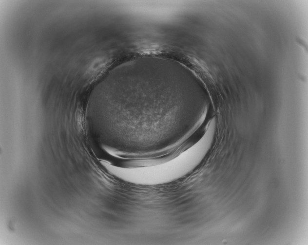 X0000097791444200803211810