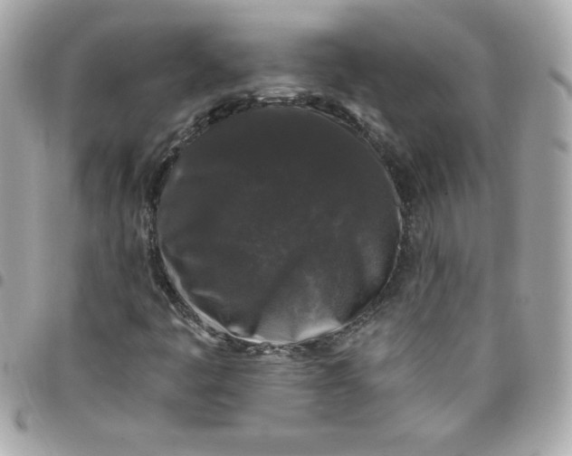 X0000097791445200803211810