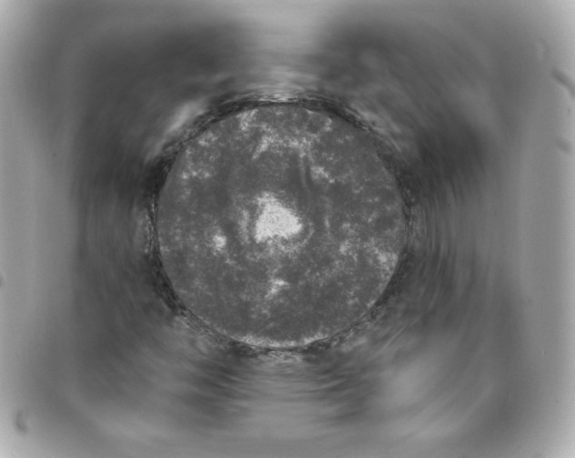 X0000097791446200803211810