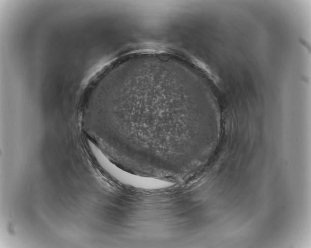 X0000097791448200803211810