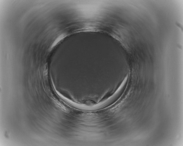 X0000097791450200803211810