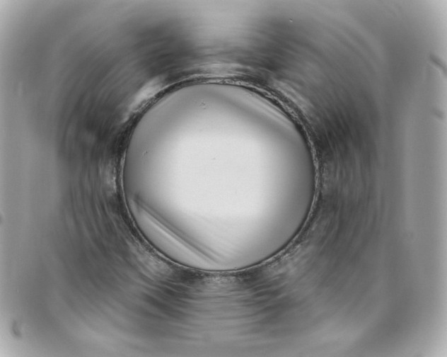 X0000097791451200803211810