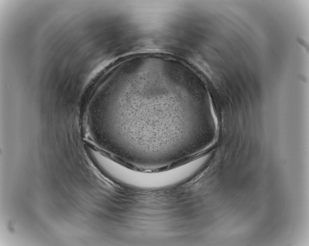 X0000097791452200803211810