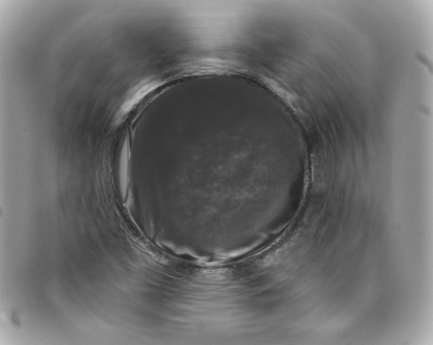 X0000097791453200803211810
