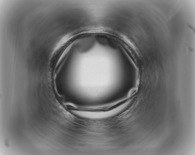 X0000097791456200803211810