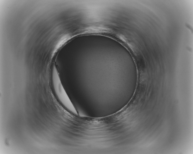 X0000097791459200803211810