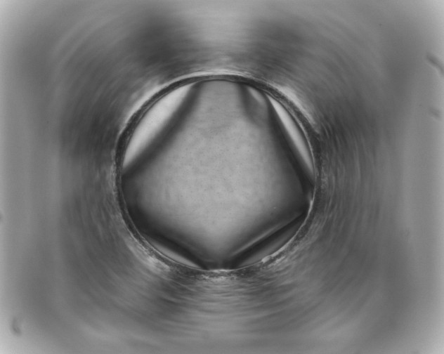 X0000097791460200803211810