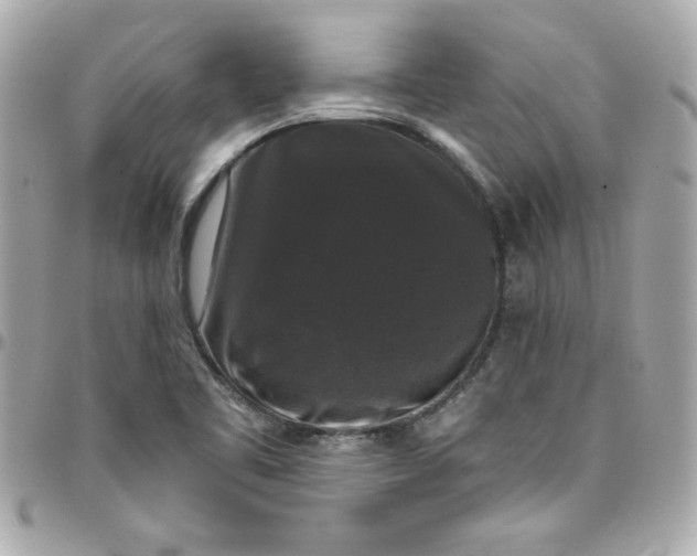 X0000097791461200803211810