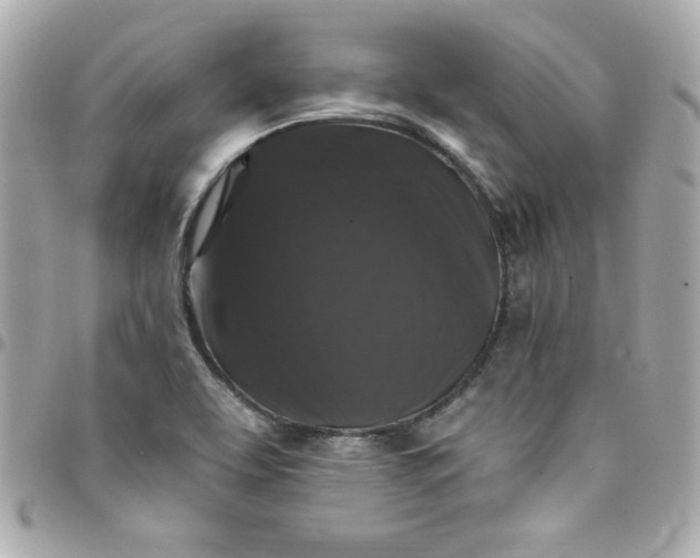 X0000097791463200803211810