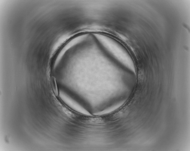 X0000097791464200803211810