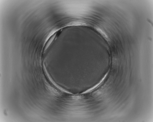 X0000097791465200803211810