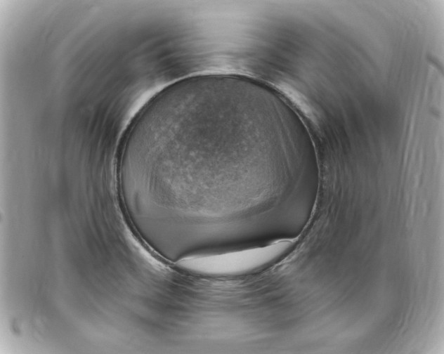 X0000097791468200803211810