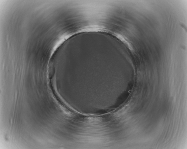 X0000097791469200803211810