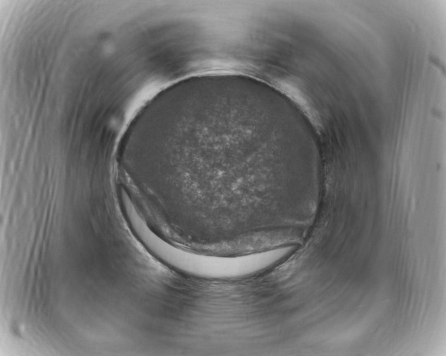 X0000097791472200803211810