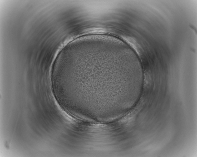 X0000097791475200803211810