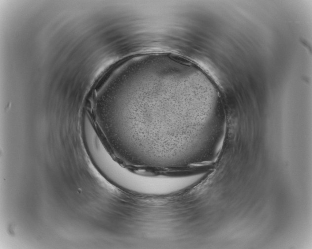 X0000097791476200803211810