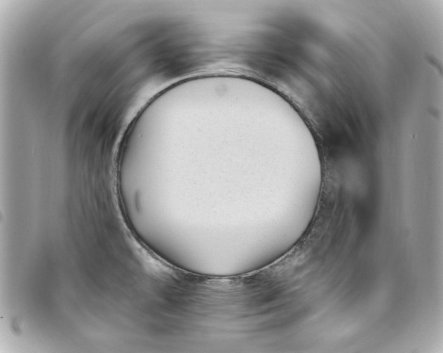 X0000097791478200803211810