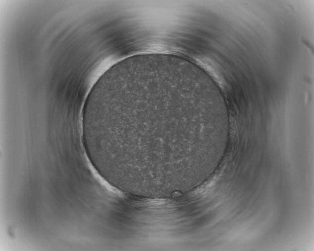 X0000097791479200803211810