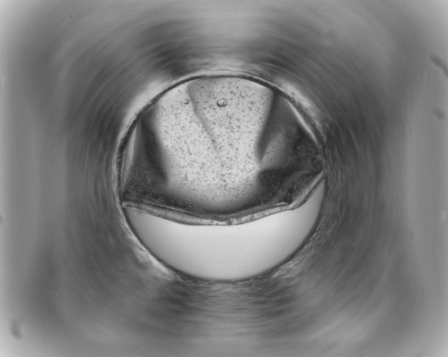 X0000097791480200803211810