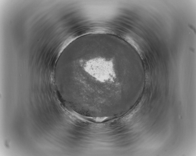 X0000097791481200803211810