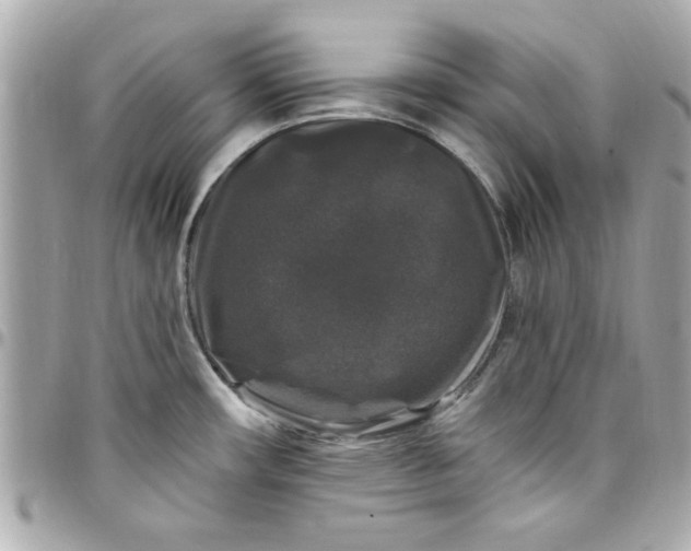X0000097791482200803211810
