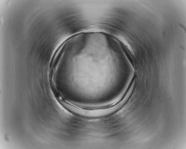 X0000097791484200803211810